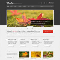 MagicTheme MagicTheme