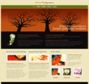 CSS Templates