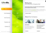 Flash Templates