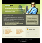 Business Website Template 