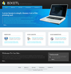 Business Website Template 