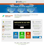 Business Website Template 